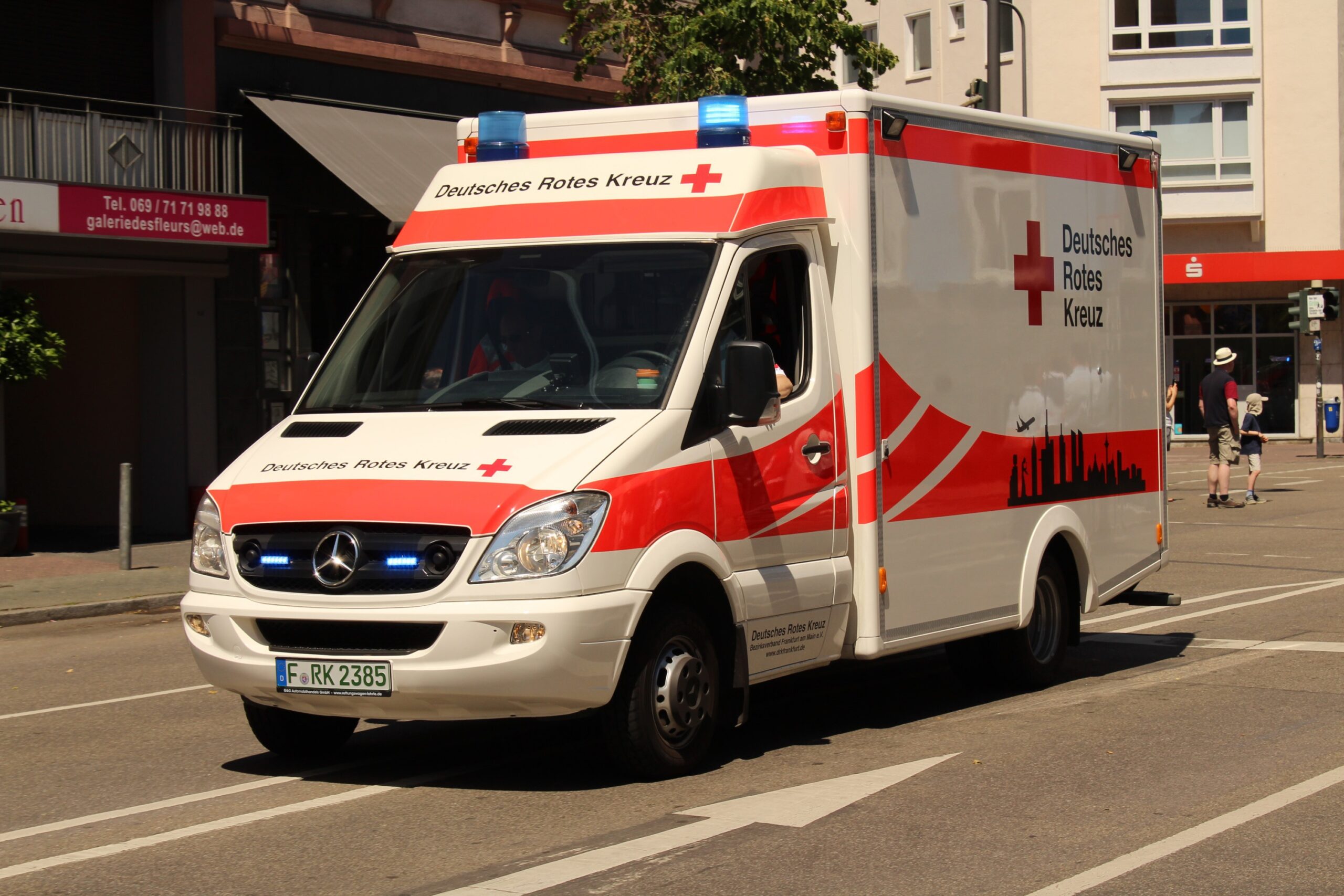alexde rescue service 4975223.jpg